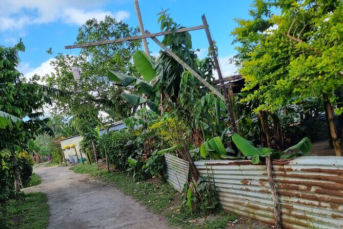 Mele Village Guided Walking Tour - Key Points