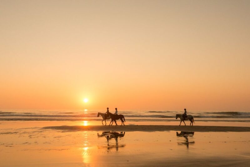 Melides: Horse Riding on the Beach with Wine Tasting - An Authentic Ride Along Portugal’s Wild Coast