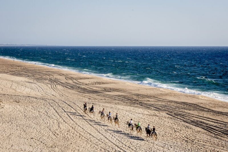 Melides: Horse Riding on the Beach with Wine Tasting - Who Will Love This Tour?