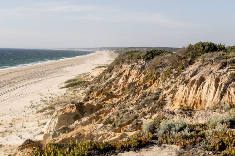 Melides: Horse Riding on the Beach with Wine Tasting - Final Thoughts