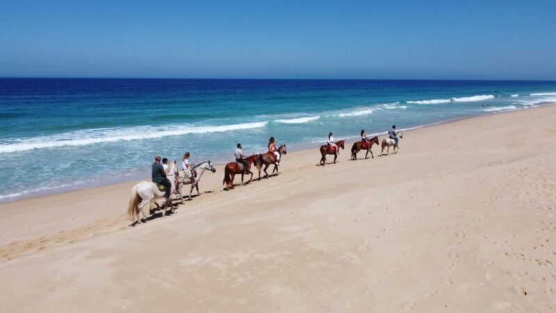 Melides: Horseback Riding on Melides Beach - A Deep Dive into the Melides Beach Horseback Ride