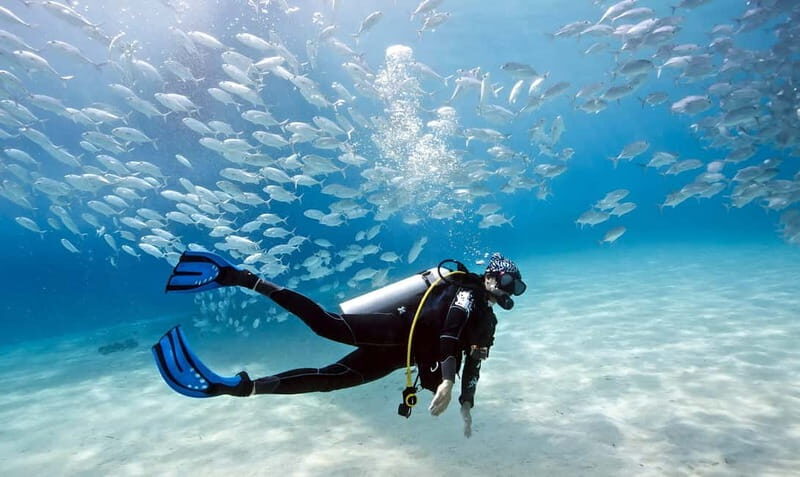 Mellieha: Introductory Diving Session in the Open Sea - Who Is It Best For?