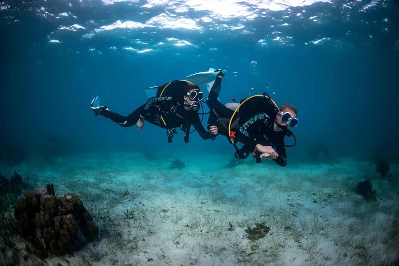 Mellieha: Introductory Diving Session in the Open Sea - The Sum Up