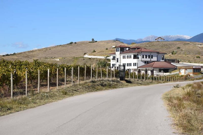 Melnik Wine Tour - A Deep Dive into the Melnik Wine Tour