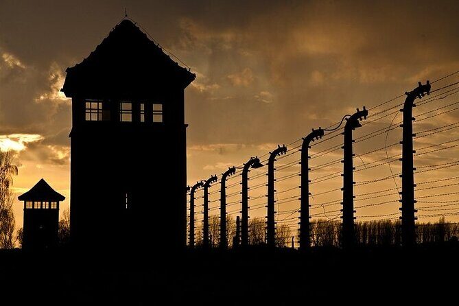Memorial and Museum Auschwitz-Birkenau Tour & Krakow Transfer - Exploring the Auschwitz-Birkenau Tour in Depth