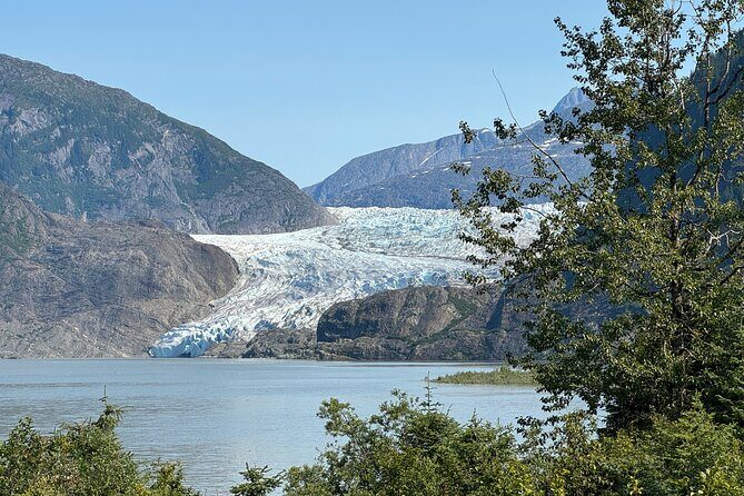 Mendenhall Glacier and Whale Watching Tour - An In-Depth Look at the Experience