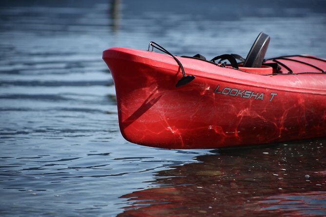 Mendenhall Glacier View Sea Kayaking - Key Points