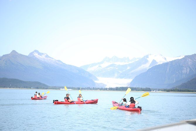 Mendenhall Glacier View Sea Kayaking - What the Tour Includes and What to Consider
