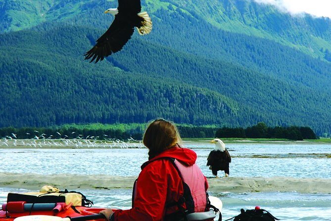 Mendenhall Glacier View Sea Kayaking - Authentic Experiences From Travelers