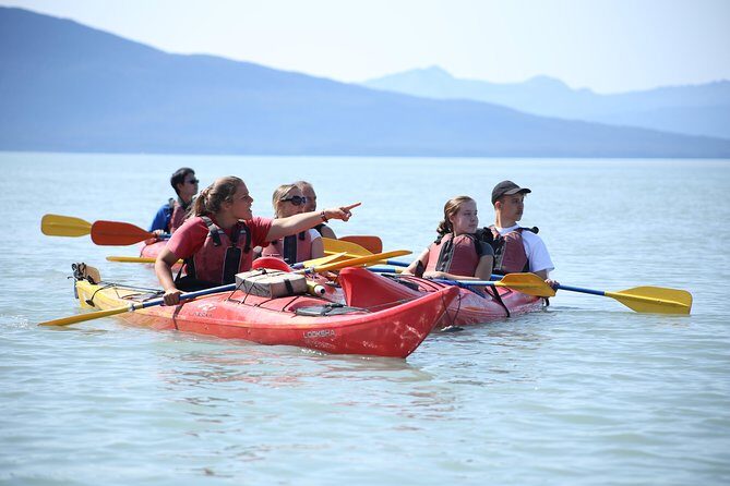 Mendenhall Glacier View Sea Kayaking - Summary: Is This Tour Right for You?
