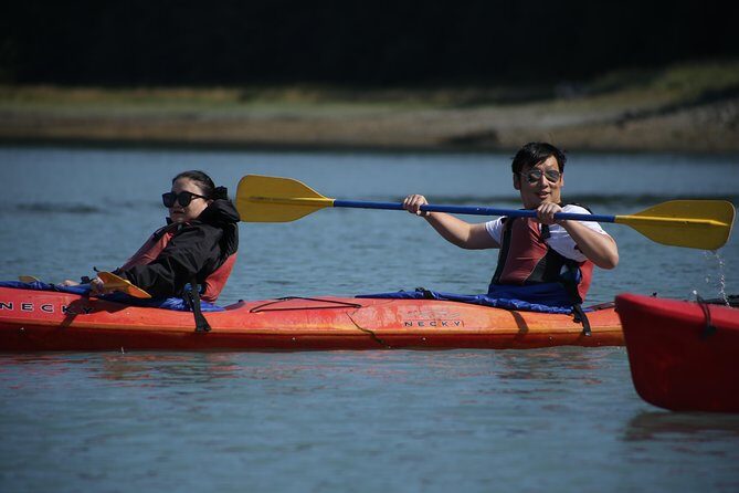 Mendenhall Glacier View Sea Kayaking - Final Thoughts