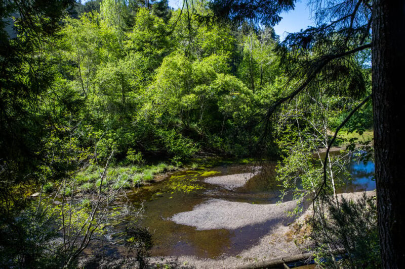 Mendocino County: Railbiking Tour Along the Noyo River - Who Would Love This Tour?
