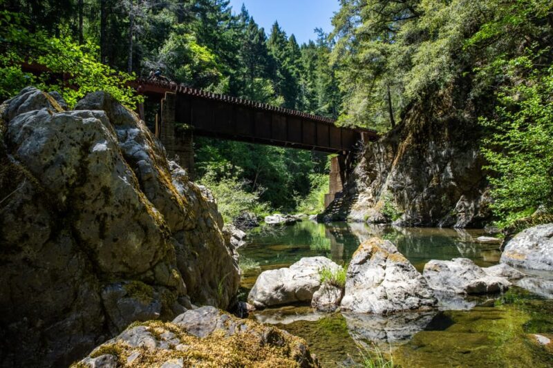 Mendocino County: Railbiking Tour Along the Noyo River - Final Thoughts