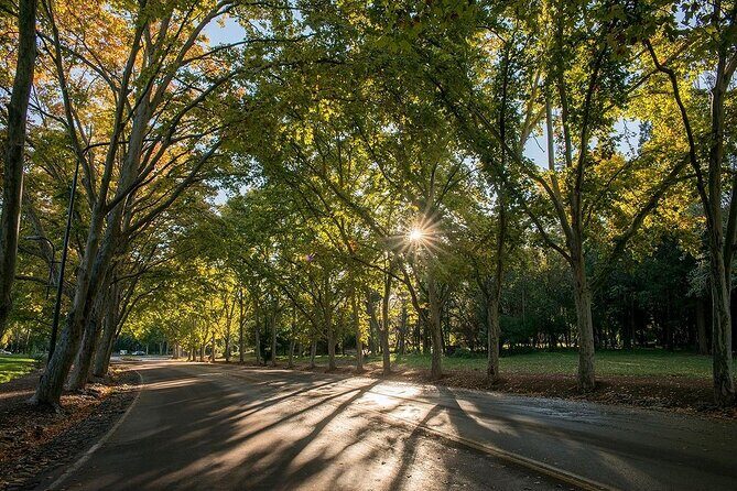 Mendoza Essentials 3 Days All Inclusive - Authentic Experiences That Make a Difference