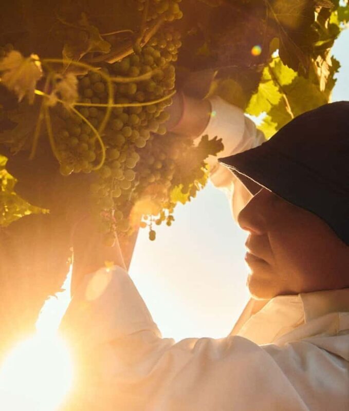 Mendoza Essentials - 3 Days All Inclusive Experiences - Who Will Appreciate This Experience?