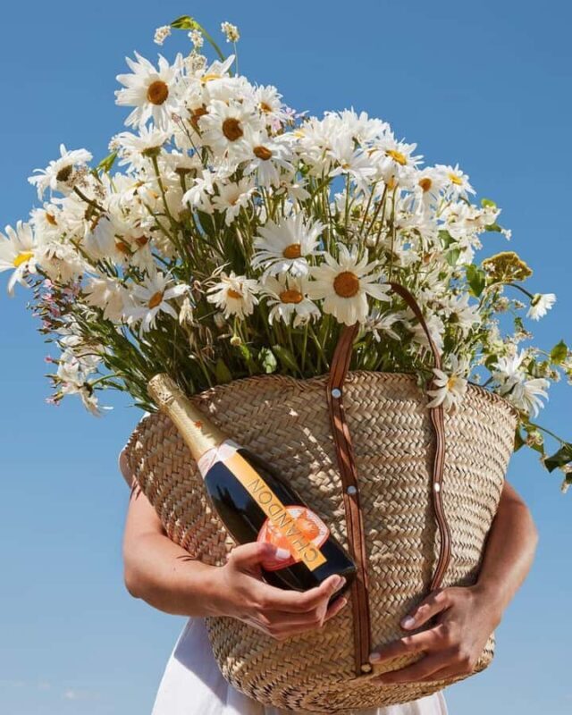 Mendoza Essentials - 5 Days All Inclusive Experiences - Exploring the Mendoza Essentials Tour in Depth