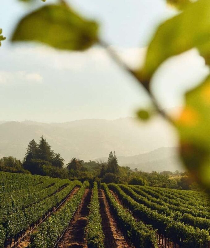 Mendoza Essentials - 5 Days All Inclusive Experiences - Who Is This Tour Best Suited For?