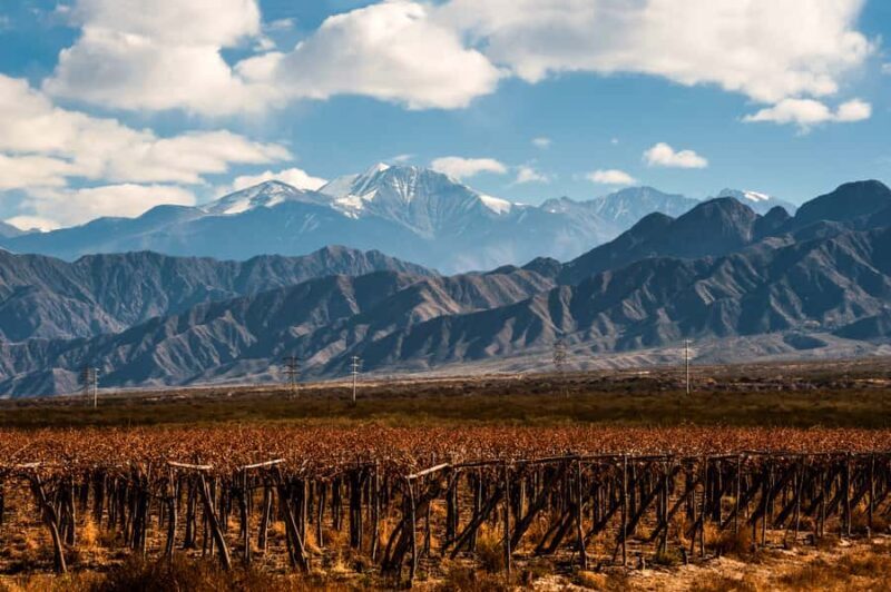 Mendoza: Full Day Wine Tour with 3 Course Lunch - Key Points