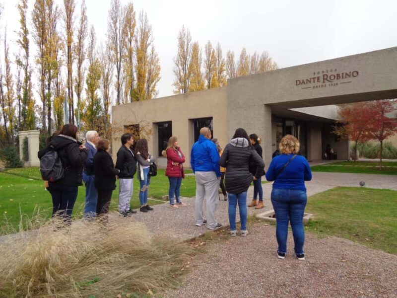 Mendoza: Half-Day Wine Tour with Tastings - Final Thoughts