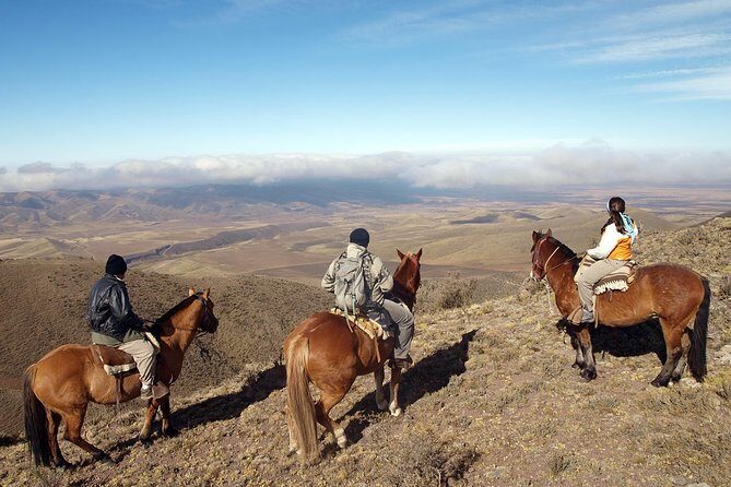 Mendoza Horseback Riding Tour with Traditional Argentine Asado - Key Points