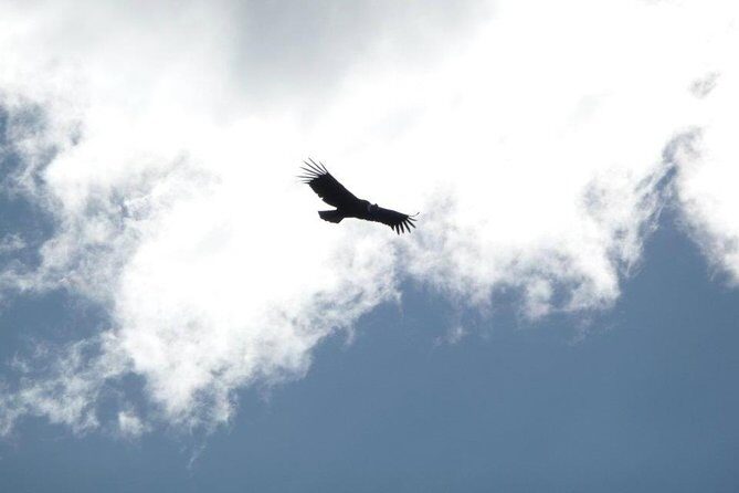 Mendoza Horseback Riding Tour with Traditional Argentine Asado - A Closer Look at the Mendoza Horseback Riding Tour