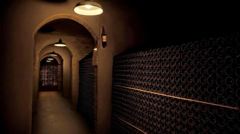 Mendoza Lujan de Cuyo: Tour of 3 Wineries with Tastings and Lunch - Exploring Mendoza’s Wine Country: An Honest Look at the 3-Winery Tour