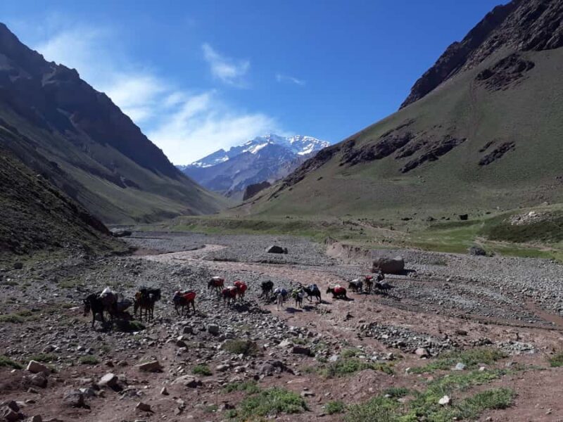 Mendoza: Mt. Aconcagua Confluencia Camp Trekking - Discovering Mount Aconcagua from Mendoza: A Full-Day Trek to Confluencia Camp