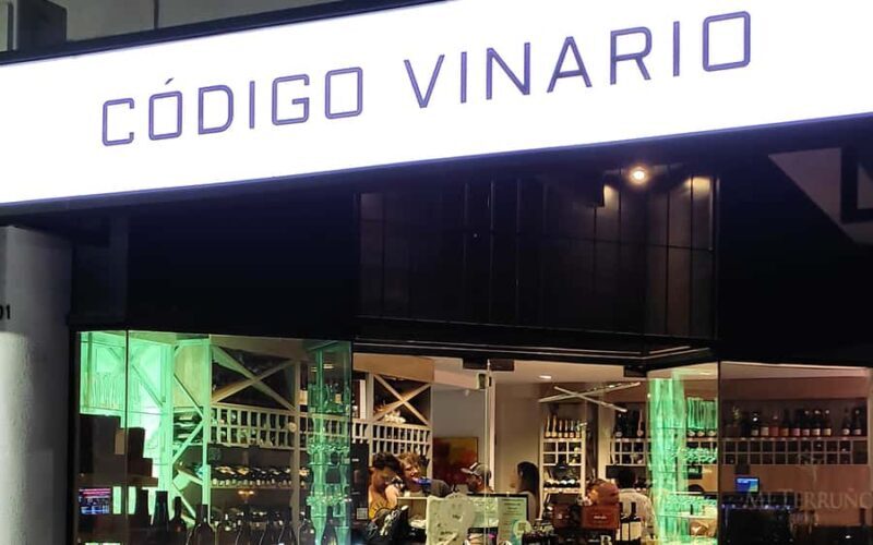 Mendoza: Premium Wine Tasting - Who Should Consider This Tour?