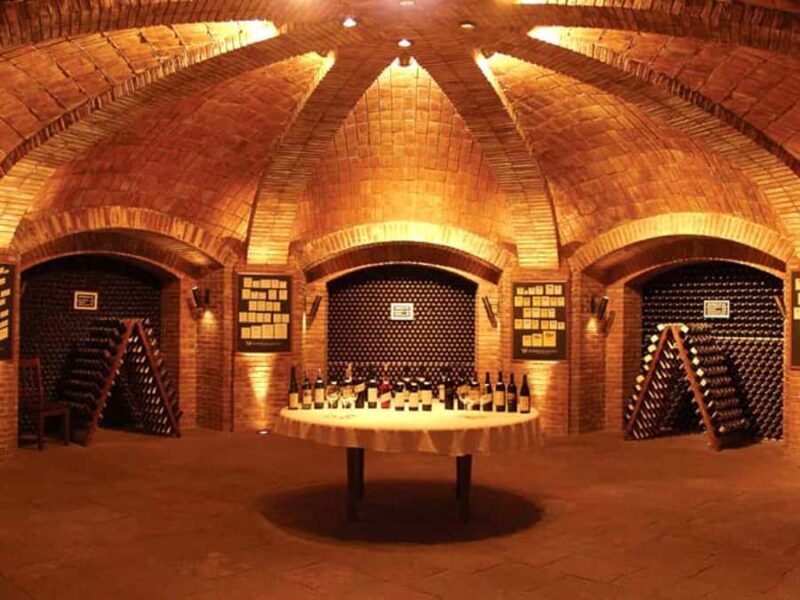 Mendoza: Small-Group Wineries Tour with Tasting and Lunch - The Practical Aspects