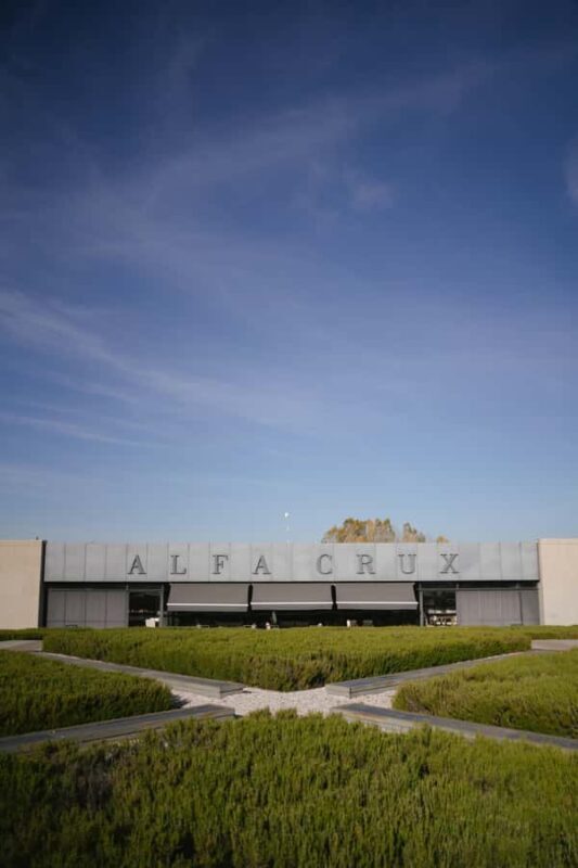 Mendoza: Tour with tasting and lunch High Altitude Wineries - Key Points