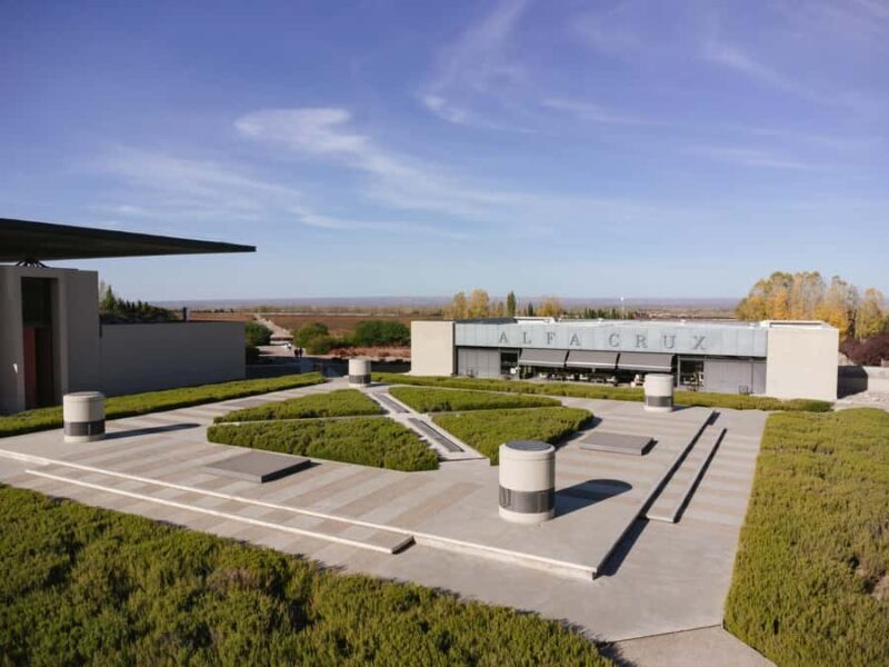 Mendoza: Tour with tasting and lunch High Altitude Wineries - Who Should Consider This Tour?