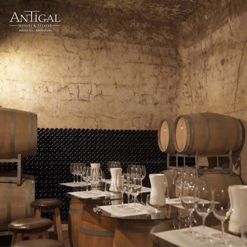 Mendoza: Wine Tasting Tour with Lunch and Private Transport - Mendoza: Wine Tasting Tour with Lunch and Private Transport
