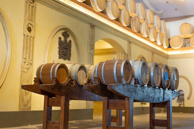 Mendoza Wine Tour with Lunch - An In-depth Look at the Mendoza Wine Tour with Lunch