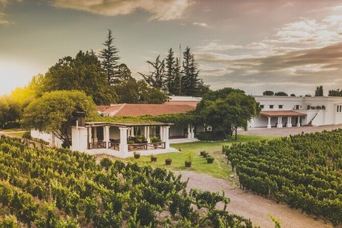 Mendoza Wine Tour with Lunch - Key Points
