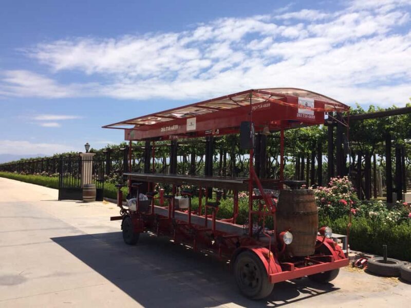Mendoza: Winebike Tasting Tour with Optional Lunch - A Closer Look at the Mendoza Winebike Tasting Tour