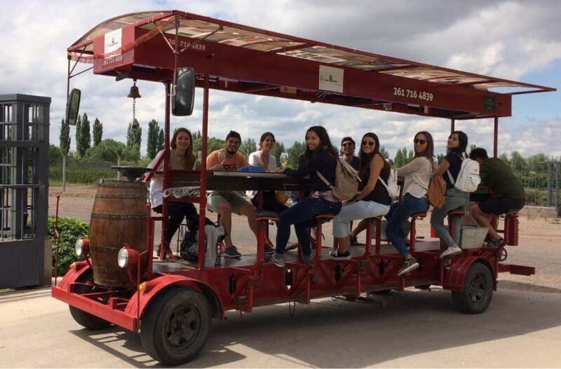 Mendoza: Winebike Tasting Tour with Optional Lunch - Who Should Consider This Tour?
