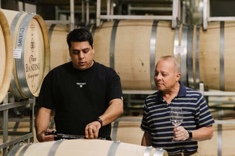 Mendoza: Winery and Distillery Tour with Lunch - Discover Mendoza’s Flavors: Winery and Distillery Tour with Lunch