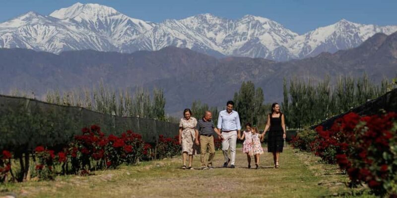 Mendoza: Winery and Distillery Tour with Lunch - Key Points