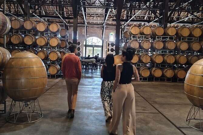 Mendoza Winery Tour with Olive Trees in Private Service - Transportation, Timing, and Overall Experience