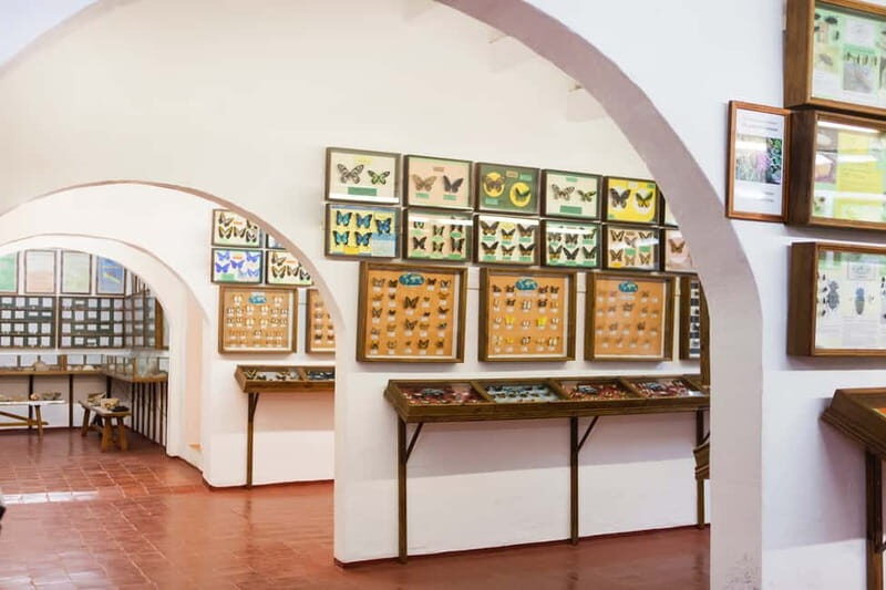Menorca: Binissues & Natural Sciences Museum Ticket - The Sum Up