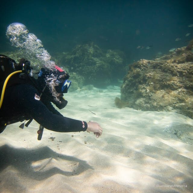 Menorca: Cala Galdana Try Scuba Diving for Beginners - Analyzing the Value