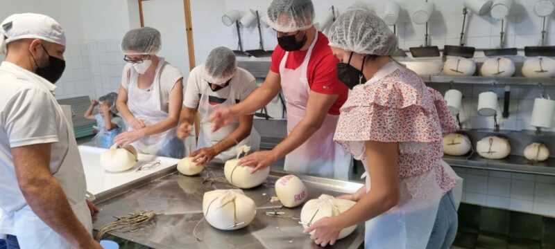 Menorca: Cheesemaking and Farm-Fresh Product Tasting - Menorca: Cheesemaking and Farm-Fresh Product Tasting — A Deep Dive into Authentic Island Life