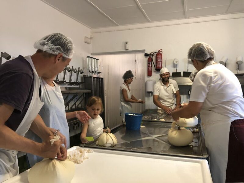 Menorca: Cheesemaking and Farm-Fresh Product Tasting - An In-Depth Look at the Menorca Cheesemaking Tour