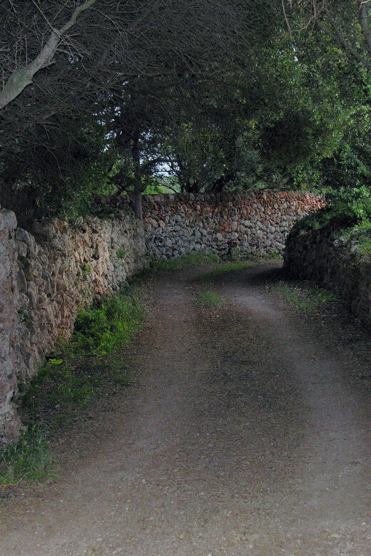 Menorca: E-Bike Tour From Punta Prima to Binibeca - Key Points