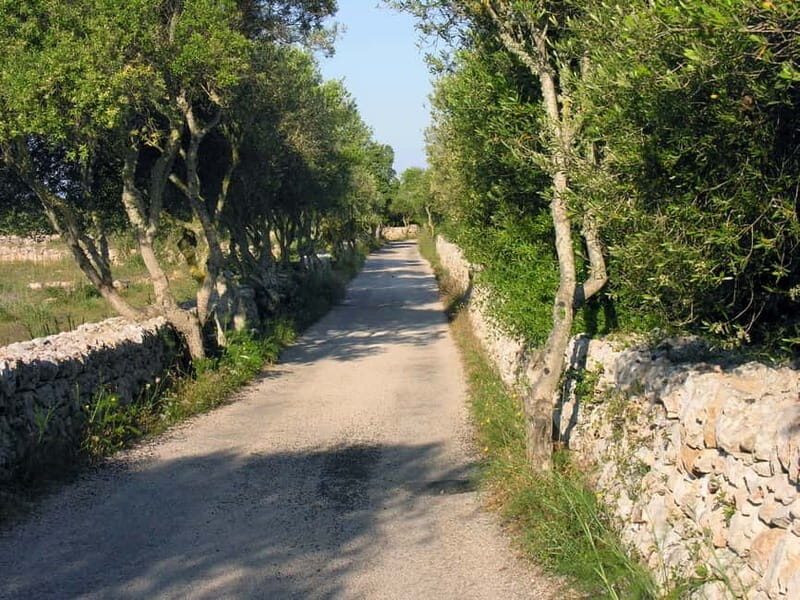Menorca: E-Bike Tour From Punta Prima to Es Castell - Menorca: E-Bike Tour From Punta Prima to Es Castell