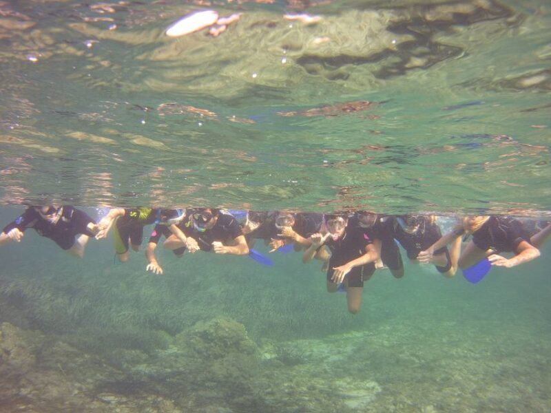 Menorca: Snorkeling Safari Tour - The Sum Up