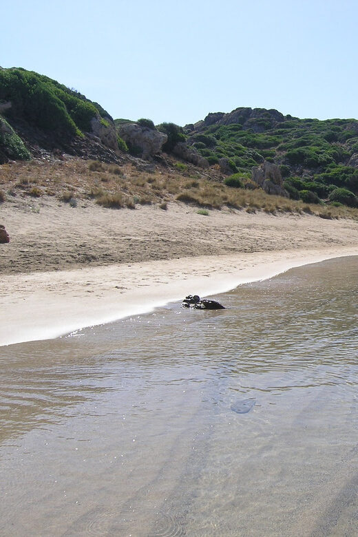 Menorca: Taxi-Boat from Es Grau to Colom Island - Who Will Love This Experience