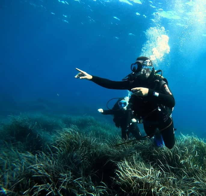 Menorca: Try scuba diving in Cala'n Bosch -BLUEWATER MENORCA - Menorca: Try Scuba Diving in Calan Bosch - BLUEWATER MENORCA