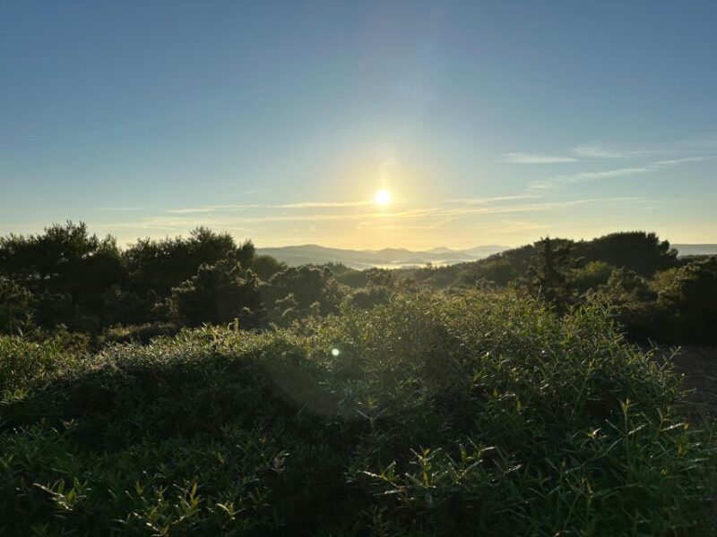 Menorca wakes up: Breakfast at sunrise - An Honest Look at the Experience