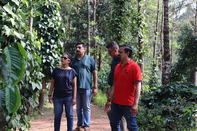 Mercara Gold Coorg Coffee and Spice Estate Tour - Key Points